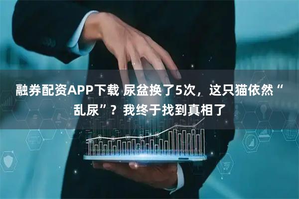 融券配资APP下载 尿盆换了5次，这只猫依然“乱尿”？我终于找到真相了